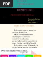 Proces Informațional-Tic PDF