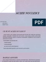 Acizii Nucleici