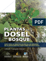 Cascante 2020. Plantas Del Dosel Del Bosque Guía