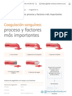 Coagulación Sanguínea - Proceso y Factores Más Importantes PDF