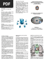 Triptico Los Sistemas de Informacion Transaccionales