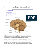 Sindromul Cerebelos