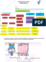 Taller 2. S.Endocrino