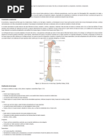 Biomecánica - 1.1. Biomecánica Ósea