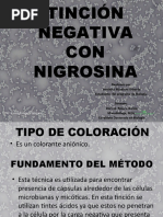 Tinción Negativa Con Nigrosina