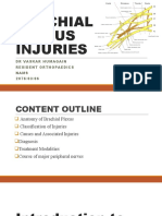 Brachial Plexus Injuries