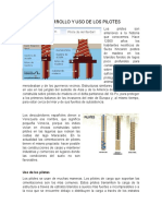 Desarrollo y Uso de Los Pilotes