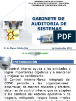 Control Interno - COSO