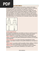 Terminologia Anatomica PDF