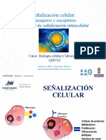 Señalización Celular y Transducción de Señales