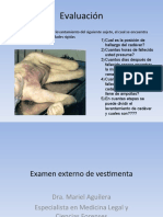 8-Examen Externo de Vestimenta