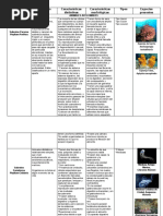 Cuadro Comparativo (Biologia)