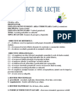 Proiect Didactic-Gramatica - Clasa A III-a