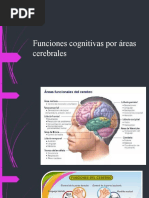 fUNCIONES CEREBRALES