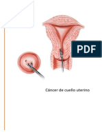 MSWord - Artículo Científico