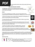 Clase 5 Cintillas Opticas