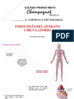 Primaria - Ciencia Y Tecnologia: Fisiología Del Aparato Circulatorio