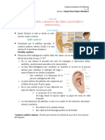 16 Introduccion A Modulo de Oido (Anatomia y Fisiologia)