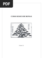 Curso Basico Bonsai