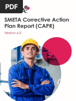 (Publicly 87) - SMETA 6.0 CAPR Template