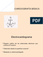 Ekg Basica