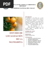 Estudio de Localizacion de La Mandarina