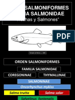 Orden Salmoniformes PDF