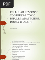 Cellular Response To Stress & Toxic Insults: Adaptation, Injury & Death