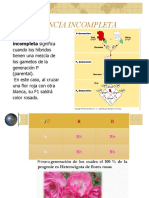 Dominancia Intermedia y Codominancia