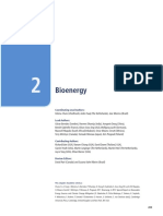 Bioenergy PDF