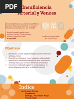 17 Insuficiencia Vascular