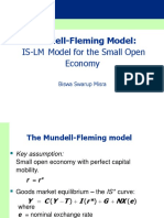 Mundel-Fleming Model