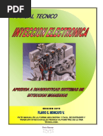 Manual de Inyeccion PDF