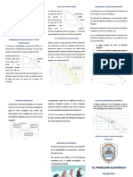 El Problema Economico Triptico