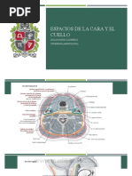 Espacios de La Cara y El Cuello