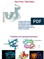 Estructuras Terciaria y Cuaternaria de Las Proteínas