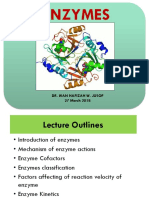 Enzymes PDF