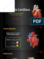 Anatomía Cardiaca - PPSX