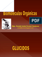 Glucidos y Lipidos