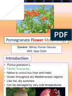 Pomegranate: Flower