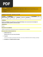 Guías 8º CIENCIAS NATURALES IV