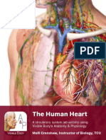 Lab Manual - Human Heart - A+p - Student