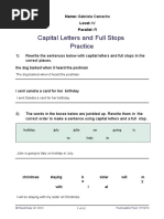 Gabriela Camacho Punctuation