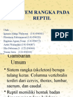 Sistem Rangka Pada Reptil