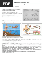 Estudo Dirigido Elaine Paim F2