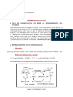 Estequiometria Microbiana