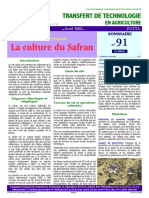 Safran PDF