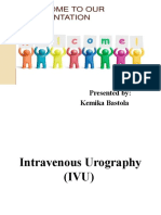 Intravenous Urography (IVU)