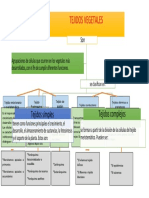 Mapa Conceptual.....