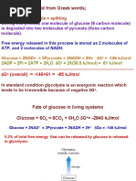 Glycolysis: Derived From Greek Words: Glykys Sweet, Lysis Splitting